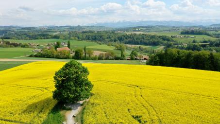 Aussicht auf dem Chutzen